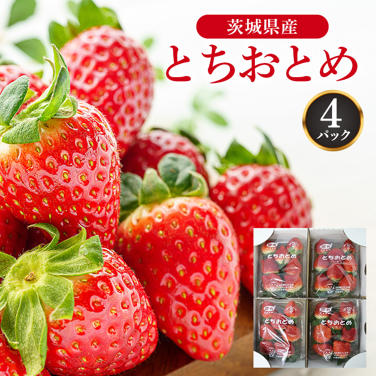 いちご（とちおとめ） 17-O