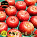 【ふるさと納税】11～12月 最高等級 特選サンふじ 約5kg【青森りんご・Sun-Q果樹園・11月・12月】　 果物類 フルーツ 青森県知事賞 4年連続 受賞 　お届け：2024年11月15日～2024年12月28日