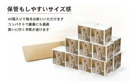 キューブ型 ティッシュ 42箱 ティッシュペーパー 日用品 日用品