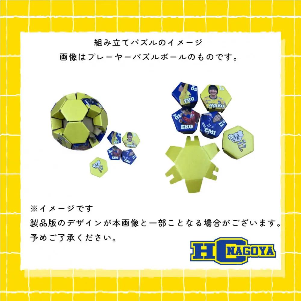 HC名古屋 2025-2026シーズン 全選手サイン入り スペシャルパズルボール＆デュアルキャリア パズルボール 【トップスポーツチーム活動支援事業寄附金専用】