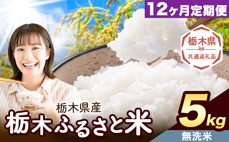 【12ヶ月定期便】栃木 ふるさと米 無洗米 5kg《お申込み翌月から出荷》栃木県 野木町 米 精米 国産 お米 おこめ お弁当 おにぎり【栃木県共通返礼品】