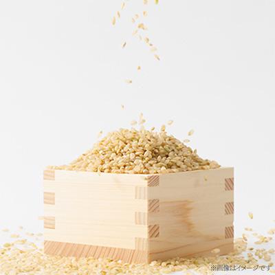 ふるさと納税 津山市 【突鉱土育ち】津山産トッコウ米(こしひかり)玄米30kg |  | 01