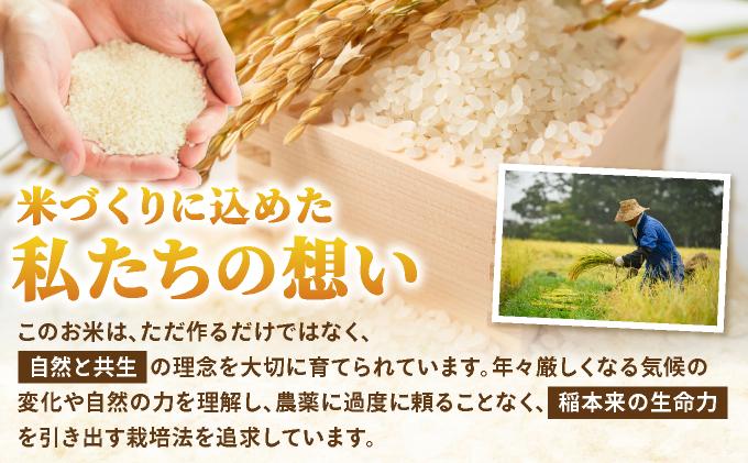 【令和7年度産】藤の米(ふじのまい) 4kg(2kgx2)【フジノ農園】