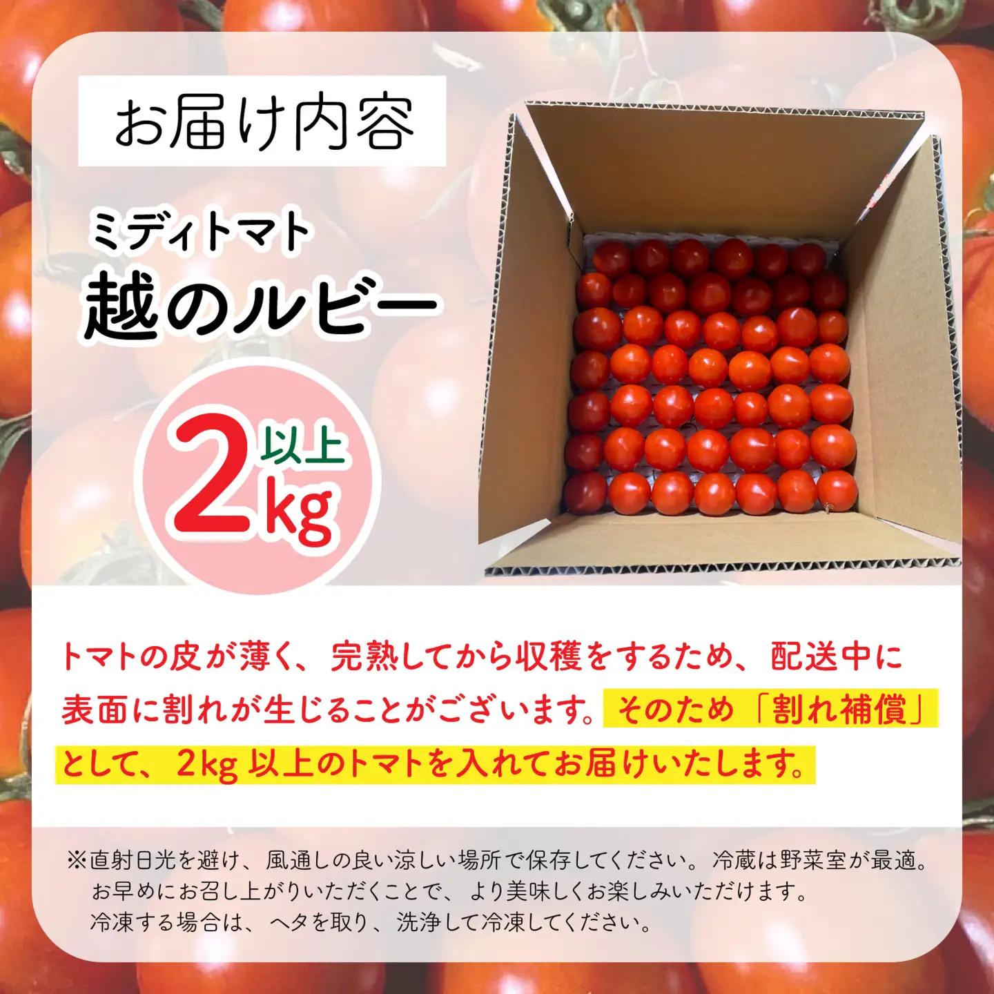 【先行予約】甘くて皮が薄く食べやすい　福井市産ミディトマト『越のルビー』2kg以上【2026年9月中旬より順次発送】[A-180003] / トマト