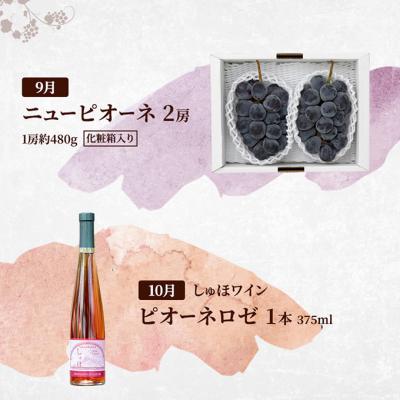 ふるさと納税 赤磐市 定期便 2026年 先行予約 是里ワイナリーのワインと果物 4回コース [NO5765-1347] |  | 03