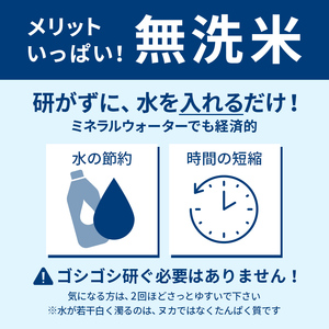 令和5年産 山形県産【雪若丸】無洗米 精米 2kg 米 お米 おこめ 山形県 新庄市 F3S-1898