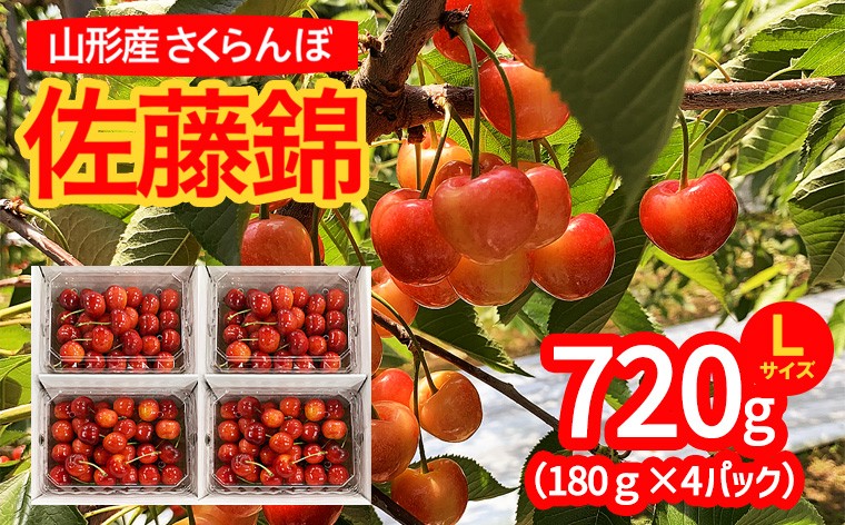 
                  山形市産 さくらんぼ 佐藤錦 L以上 720g(180g×4パック) 【令和9年産先行予約】 FS25-531
                
