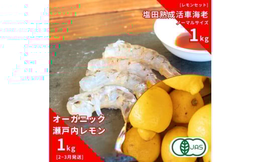 オーガニック瀬戸内レモン 1kg(2~3月発送) / 塩田熟成活車海老 ノーマルサイズ 1kg(11~2月発送) オーガニック 有機レモン 有機JAS 果汁100% レモン えび エビ エビフライ 晩酌 国産 瀬戸内 濃厚 甘さ控えめ 免疫力向上 健康 ビタミンC クエン酸 抗酸化 ソーダ 炭酸水