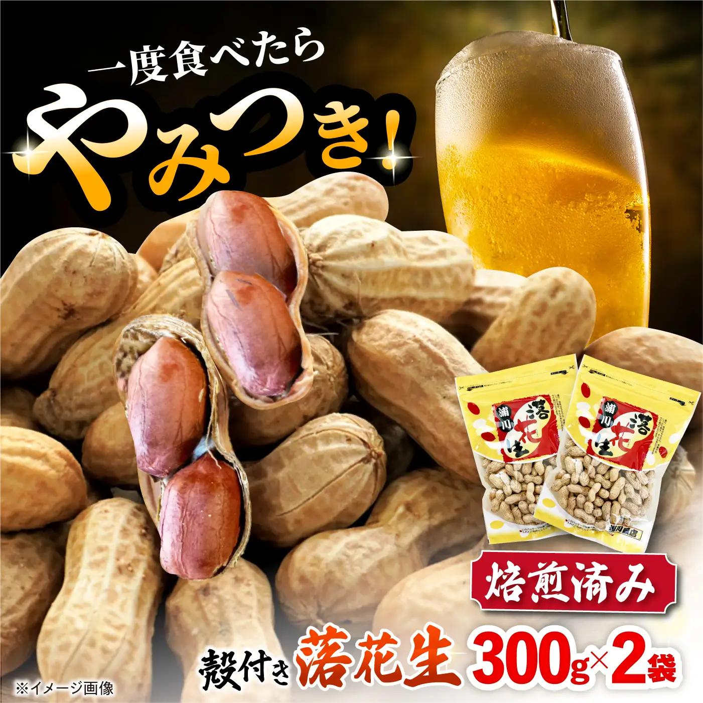 殻付き 落花生 合計約600g（300g×2袋） ピーナツ おつまみ 大村市 浦川豆店[ACZR018]