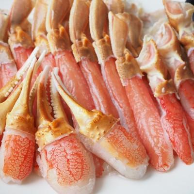 ふるさと納税 北見市 生冷本ズワイガニセット1.6kg　(800g×2パック、昆布同梱) 北見市加工　4〜5人前 |  | 01