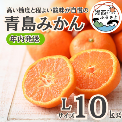 
            ＜年内発送＞＜12月中旬より順次出荷予定＞青島みかん約10kg Lサイズ〔鈴木農園〕【1510114】
          