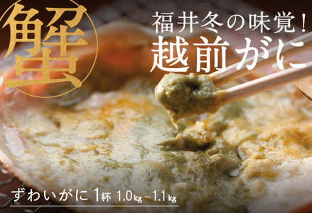 【先行予約！9月30日までの特別価格！！】【産地直送】福井冬の味覚！越前がに 1杯 1.0～1.1kg