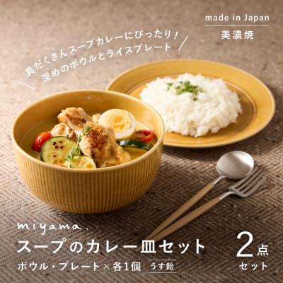ふるさと納税 瑞浪市 miyama.のカレーのうつわ　スープのカレー皿セット　うす飴