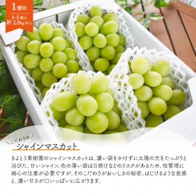 【発送月固定定期便】【きよとうファーム】シャインマスカット計2kg～と梨2-3種上級品岡山県産全2回【配送不可地域：離島】