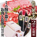 【ふるさと納税】定期便2回配送　いろいろ試せる!ミニ削り器&お肉・お魚お届け便　CC0-0003【1507436】