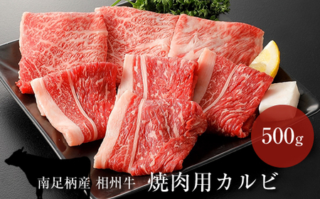 相州牛 焼肉・網焼き用カルビ　500g（厚切り） 