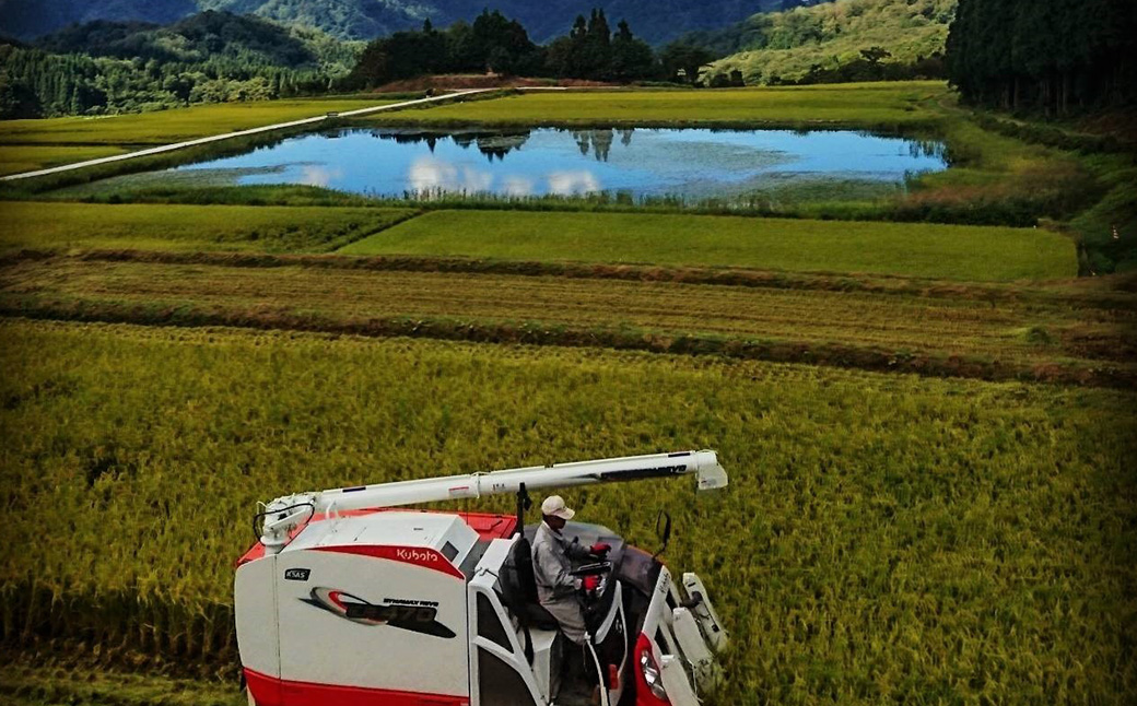 【新米受付・令和7年産米】NA4184 新潟県村上市岩船産　棚田米コシヒカリ6kg