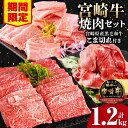 【ふるさと納税】【期間限定】 宮崎牛モモ焼肉500g×1 宮崎牛バラ焼肉500g×1 宮崎県産黒毛和牛小間切れ100g×2 合計1.2kg ミヤチク 赤身 日本食肉格付協会 A5等級 A4等級 全国和牛能力共進会 お肉 牛肉 モモ バラ 小間切れ セット 詰め合わせ 宮崎県 宮崎市 送料無料