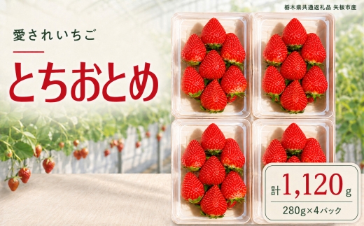 澳原さんの「とちおとめ」 1,120g (280g×4P)| 栃木県共通返礼品 矢板市産 いちご 果物 フルーツ 栃木県下野市