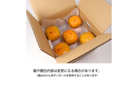 家庭用 訳あり たねなし 柿 10kg 【刀根早生・平核無柿（ひらたねなしかき）】