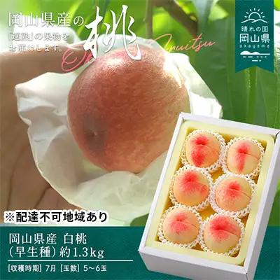 桃 2026年 先行予約 白桃 早生種 約1.3kg  5～6玉  岡山県産 桃