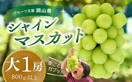 【2025先行予約】岡山 花笑み農園『シャインマスカット』800g以上(大1房) S-大1　シャインマスカット 岡山シャインマスカット シャインマスカット大1房 人気品種シャインマスカット 真庭市産 濃厚ぶどう 甘い【hana34】
