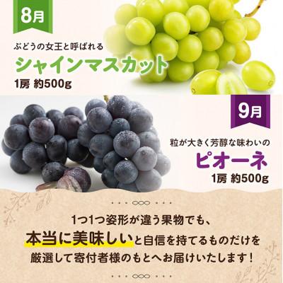 ふるさと納税 川南町 【発送月固定定期便】『いいとこどり』大人気くだもの定期便(川南町)全6回 |  | 03