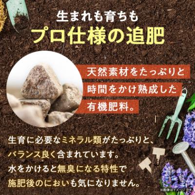 ふるさと納税 太田市 植物用 肥料  バイオゴールド オリジナル 5kg×1袋 |  | 01