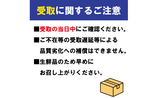 【2026年11月上旬より順次発送】【極撰】温州みかん 約 5kg フルーツ 果物 柑橘 柑橘類 デザート おやつ 旬 産地直送 冬の味覚 旬の果物 旬のフルーツ お取り寄せ 取り寄せ 送料無料 みか