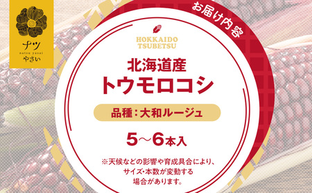 【R7年早期受付】 9月の旬 日本初の赤トウモロコシ「大和ルージュ」 5本 ピンクの八百屋 ナツやさい  | とうもろこし トウモロコシ 大和ルージュ 旬 新鮮 野菜 夏 産地直送 北海道 津別町 送