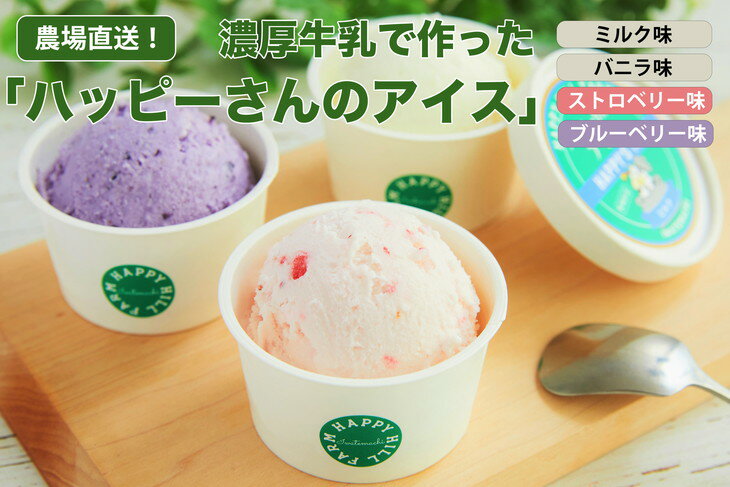 【ふるさと納税】ハッピーさんのアイス 4種類12個入り アイスクリーム カップ スイーツ あいす セット ギフト プレゼント 贈り物 夏 ミルク バニラ ストロベリー ブルーベリー※離島への配送不可