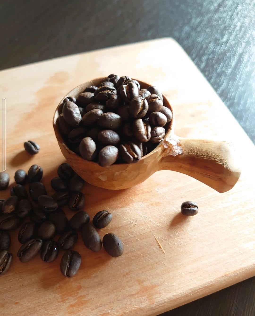 【013-24】鮮度が決め手　自家焙煎コーヒー　粉　100g×3種　（産地はお任せ　浅煎り・中煎り・深煎りの3種類）