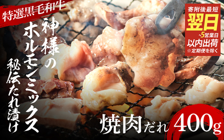 【 スピード発送 】【 特選 黒毛和牛 】 神様のホルモンミックス 秘伝たれ漬け 400g（焼肉だれ2p）