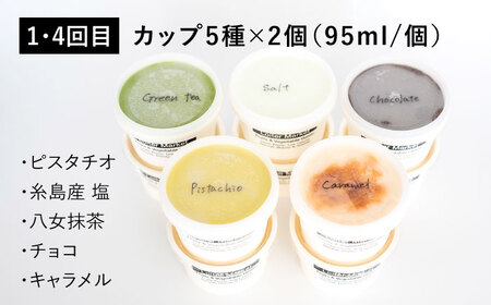 【 全6回 定期便 】 カップ 10個 × 4回 / お楽しみ ボトル 2個 × 2回 セット 糸島 / LoiterMarket[AGD011]