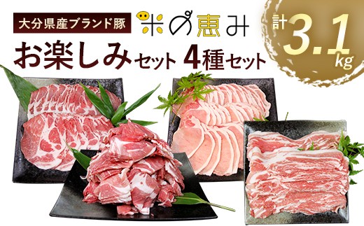 
大分県産 ブランド豚 「米の恵み」お楽しみセット 計3.1kg 豚肉 小分け
