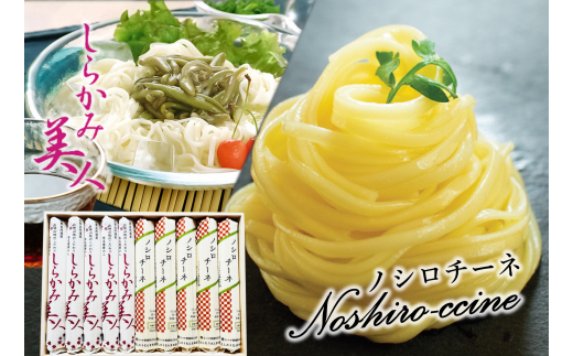 
能代うどん 和風パスタ 食べ比べ 乾麺 2種 詰合せ 「しらかみ美人」「ノシロチーネ」各5束 セット
