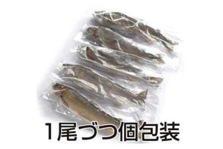 豊橋の新鮮な地下水の流れの中で健康に育てた『しずかのあゆ』冷凍１０尾セット