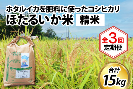【先行予約】【新米】ほたるいか米（精米５kg）×3回 計15kg【3ヶ月定期便】25年10月開始