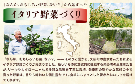 矢掛町自慢のイタリア野菜2品目＆リゾット米1kg《1月上旬-3月末頃出荷》