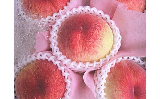
季節のフルーツ「さぬきの桃」　計約3.4kg【令和6年6～7月発送】
