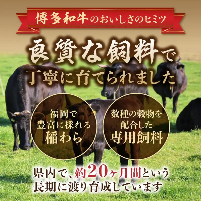 【A4～A5】博多和牛ヒレステーキ 450g(150g×3枚) 肉 お肉 和牛 黒毛和牛 博多和牛 ヒレ ステーキ ヒレステーキ フィレ 貴重部位 贈り物 贈答品 化粧箱 濃厚 旨み 国産 214-0