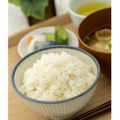 ふるさと納税 酒田市 山形県産　つや姫4kg(2kg×2袋)令和7年産 |  | 02