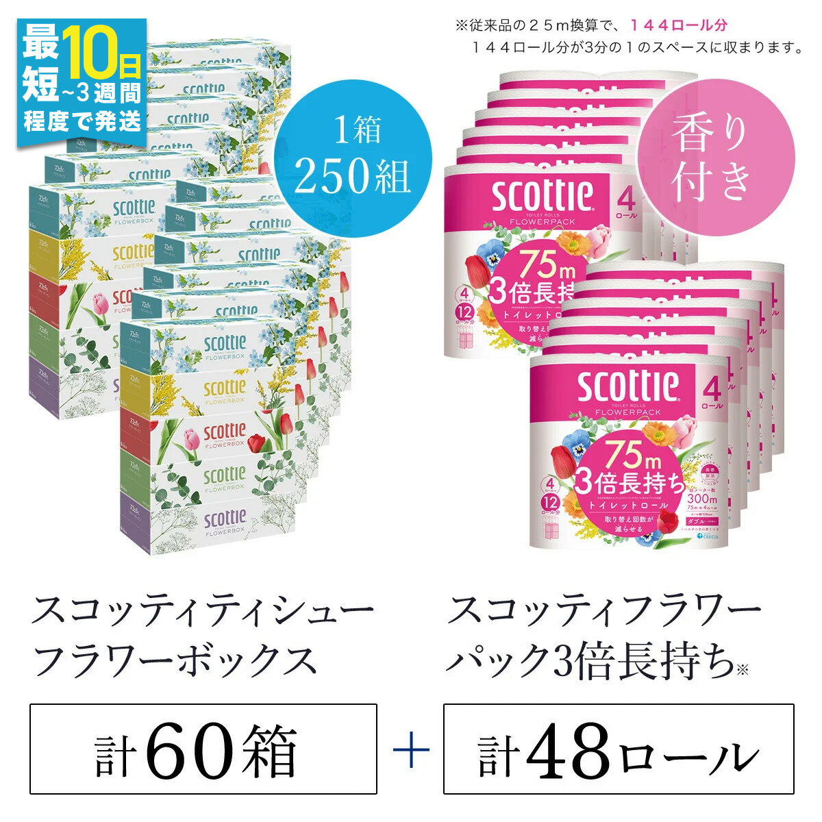 【ふるさと納税】ボックスティッシュ60箱＋トイレットロール48ロール セット / スコッティ ティッシュ トイレットペーパー セット 大容量 まとめ 大人気 おすすめ 肌触り 日本製 たっぷり ストック 家族 消耗品 リピート クレシア 回数 日用品 京都府 福知山市 FCAS025