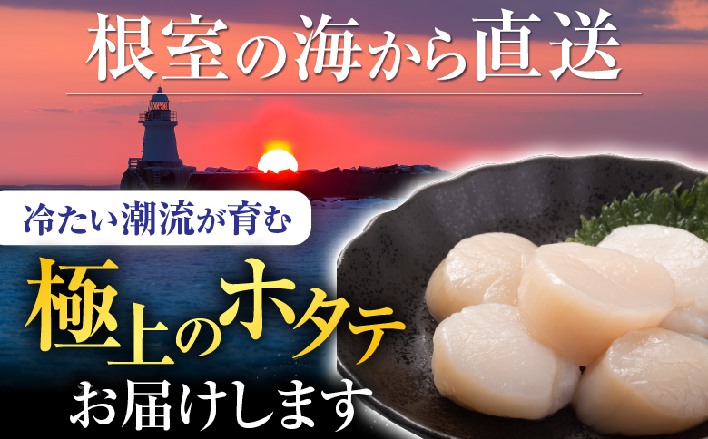 ＼漁業者応援品／【北海道根室産】お刺身帆立貝柱600g×1P B-42076
