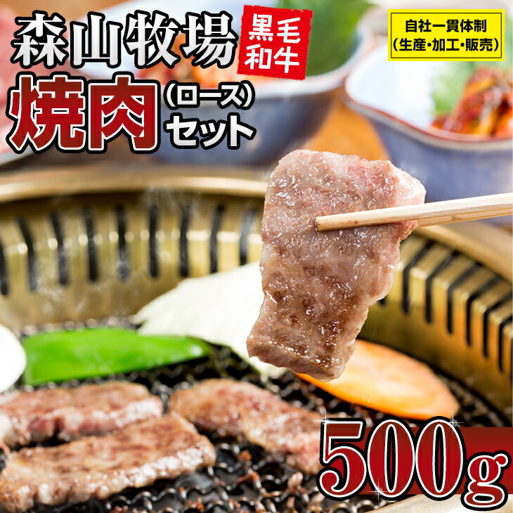 【ふるさと納税】 豪快精肉店！森山牧場 焼肉セット（500g） 佐賀和牛 牛肉 黒毛和牛 お肉 ジューシー 国産 霜降り 九州産 送料無料 ブランド牛 焼肉 人気 ランキング 高評価 牛肉 【B135-004】