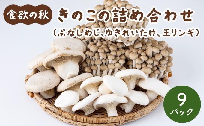 食欲の秋！きのこの詰め合わせ(ぶなしめじ・ゆきれいたけ・王リンギ各3パック)AT16