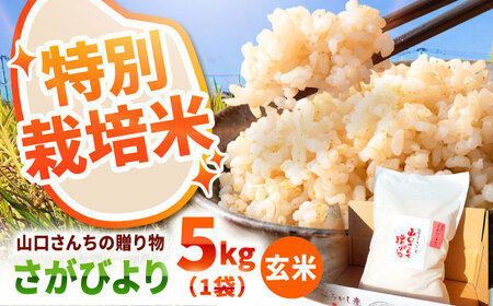【先行予約 2026年11月～発送】 令和8年産 特別栽培米！さがびより（玄米）5kg / お米 [IAS021]