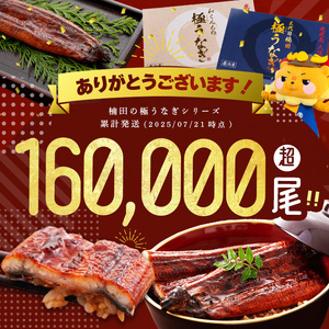 楠田の極うなぎ 蒲焼き 1尾(230g以上) a2-036