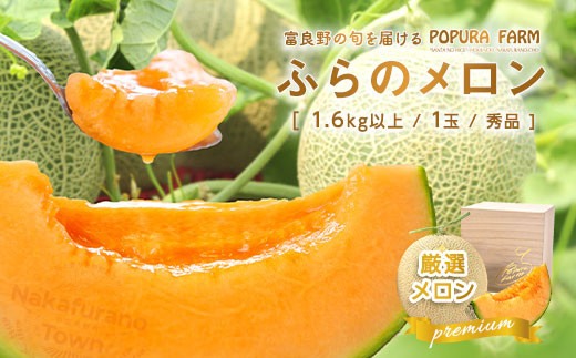 【2026年発送】【ポプラファーム】【桐箱】極上の富良野メロン　中玉1玉（計1.6kg以上　秀品）