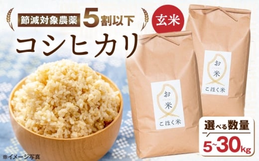 【令和7年産新米】湖北産 コシヒカリ 30kg(玄米) 長浜市/株式会社エース物産[AQAK007] こしひかり 米 30kg お米 ご飯 ごはん ゴハン 近江米 滋賀県産 長浜市産 こめ 玄米 白米 精米 お米 新米 食品 ふるさと納税 国産 炊きたて 米ギフト もちもち ブランド米  食卓 美味しい 人気 ごはん ご飯 おにぎり 炊き込みご飯 おすすめ プレゼント 贈答